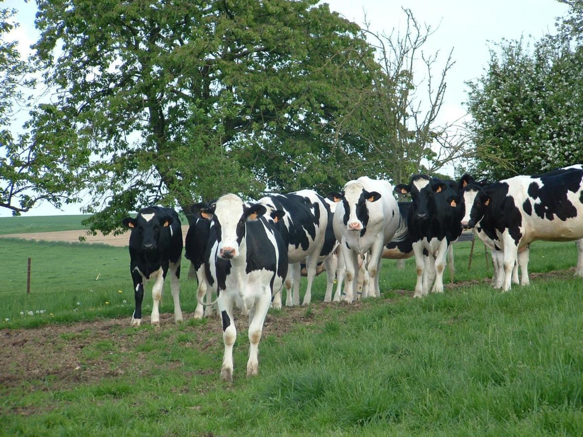 Battery Valley Farm Grandcourt  Εξωτερικό φωτογραφία